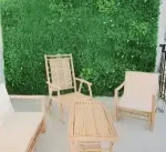 Designer Plants