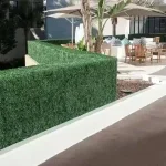 Designer Plants